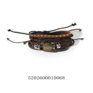5202600010068