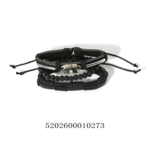 5202600010273