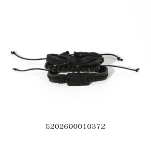 5202600010372