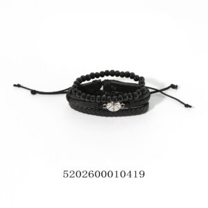 5202600010419