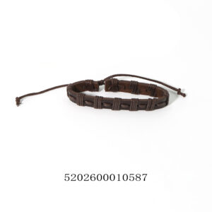 5202600010587