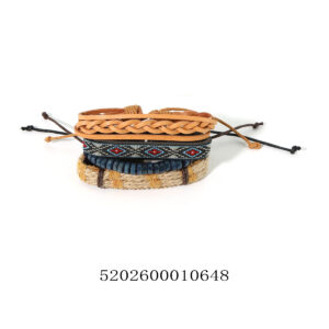 5202600010648