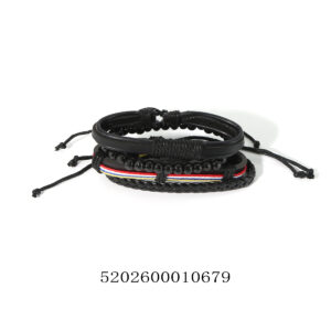 5202600010679