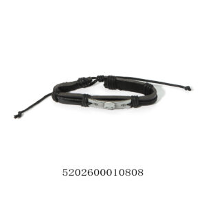 5202600010808