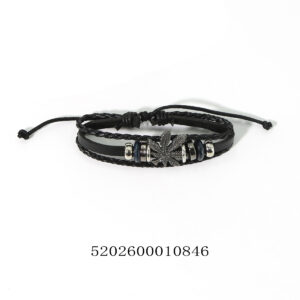 5202600010846