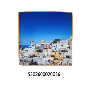 5202600020036