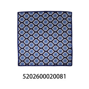 5202600020081