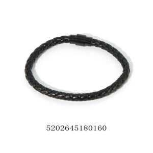 5202645180160