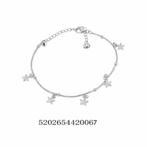 5202654420067